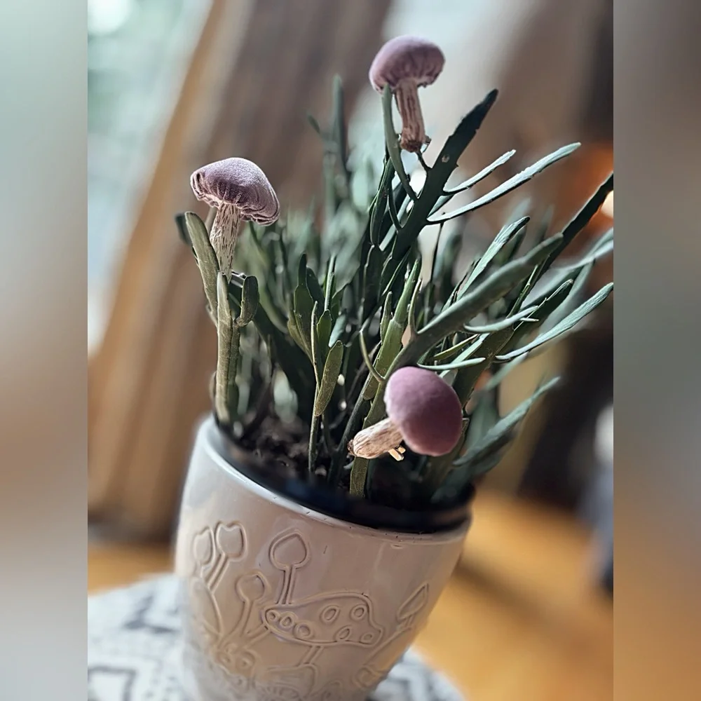 Mushrooms Plant Accessories